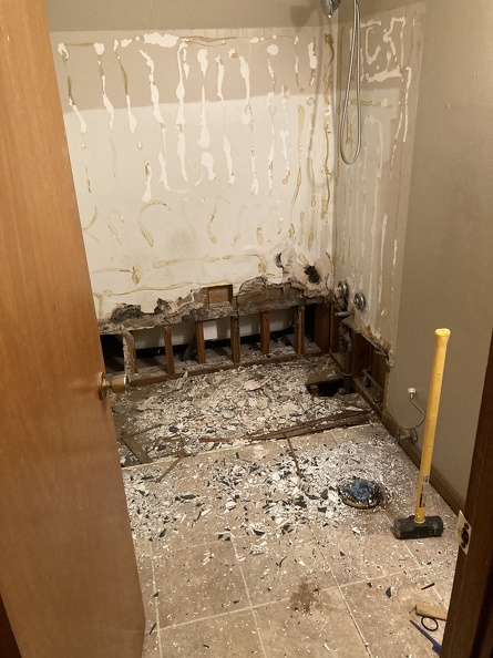 Bathroom Demolition1.JPG